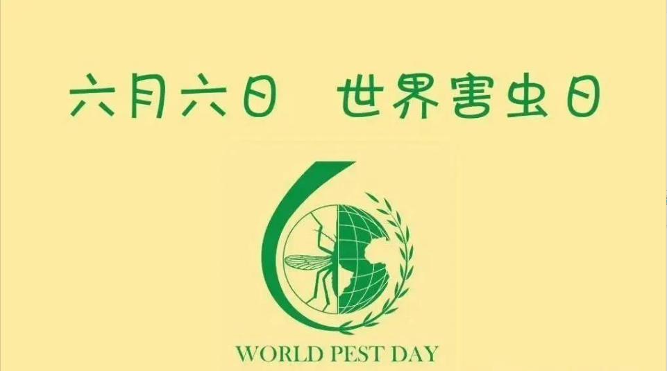 看不见的威胁，看得见的守护 | 世界害虫日，卫民在行动