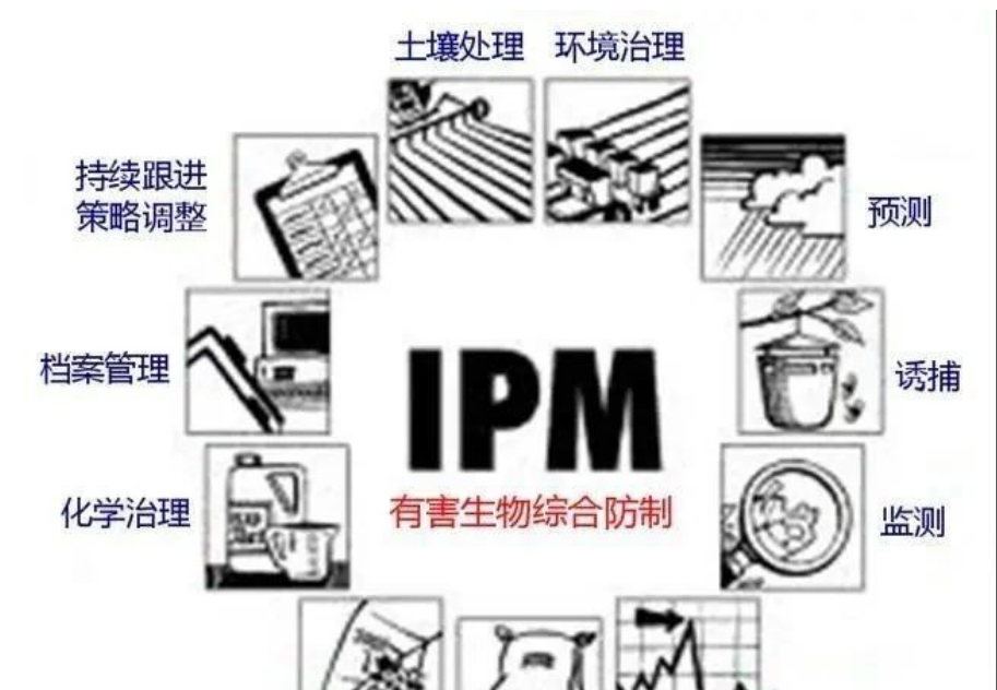 看不见的威胁，看得见的守护 | 世界害虫日，卫民在行动